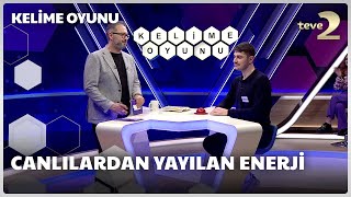 Canlılardan yayılan enerji | Kelime Oyunu