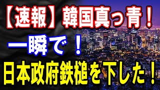 【速報】日本政府がついに行動！韓国との関係がどう変わる？