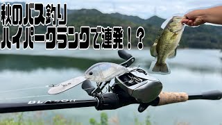 秋のバス釣りin 師田原ダム  （ハイパークランクで連発）