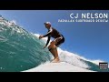 CJ Nelson Parallax Demoed the board and Love it!