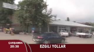 Mersin ayvagediği ezgiliyollar