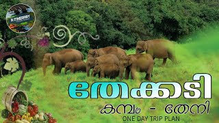 തേക്കടി - കമ്പം,തേനി ഒരു one day trip പോയാലോ | Malayalam travel vlog @a_itinerary