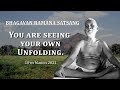 195. Bhagavan Ramana Satsang - You are seeing your own Unfolding.