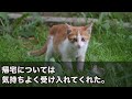 【スカッとする話】里帰り出産する義妹のため家を追い出された私と子供・・・姑「家族水入らずの邪魔！」夫「お前ら他人だろ」姪が産まれても戻らないと姑・夫が泣きついてきてwww【スカッと修羅場】