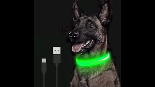 LED DOG COLLAR | COOL PET LOVER