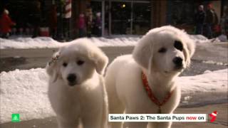 Channel Seven | Christmas PRG - (21.12.14)