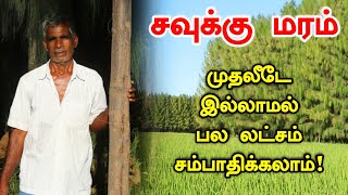 முதலீடே இல்லாமல் பல லட்சம் அதிக வருமானம் தரும் சவுக்கு சாகுபடி | Casuarina Organic Farming in Tamil