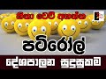 PATIROLL | පටිරෝල් | දේශපාලන සුදුසුකම | Patta bro