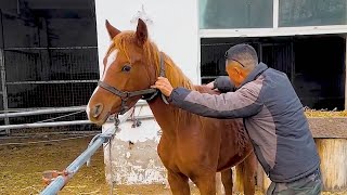 Liu Dagang trained the black horse brakes at night!