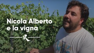 Nicola Oberto, The vineyard, La Morra, Barolo