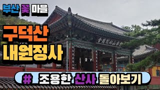 부산 꽃마을 구덕산 내원정사 둘러보기- 다들 가피로 건강과 평안하길!