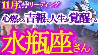 水瓶座 11月後半【新章の始まり！本当の自分を生きる】周囲と自分の変化を楽しんでいこう　　みずがめ座　2024年１１月運勢  タロットリーディング