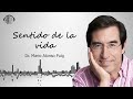 Tener una vida con rumbo | Dr. MARIO ALONSO PUIG |