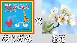 【折り紙】花の簡単な作り方　かわいい折り方　春の折り紙　3月・4月の折り紙　子供でも作れる【おりがみ】