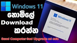 windows 10 upgrade windows 11 Sinhala