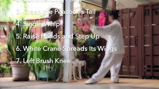 Yang Taichi Quan 85 Form (Step 1-7)