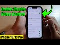 iPhone 13/13 Pro: How to Enable/Disable Voice Control