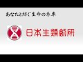 【競馬】初心者向け！血統解説　ウマ娘アニメ第3期の主人公！キタサンブラックの血統が持つ特徴を解説していきます