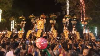 Pallathamkulangara pooram 2024