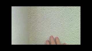 EWI store silicon render, customer review