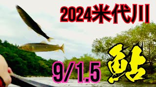 米代川で鮎釣り 2024.9/1.5 花輪エリア