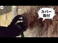 【diy】『アメリカンスイッチに交換する』ep5