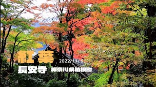 【紅葉】長安寺の紅葉を2022年11月5日に撮影　神奈川県箱根町仙石原