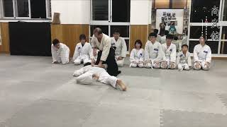 Aikido Teens class