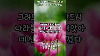 오늘의3분큐티QT 20240428 3번영상