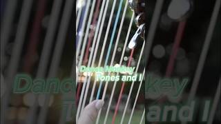 Dance Monkey - Harp cover, harp music, en arpa #shorts #short #dancemonkey #arpa