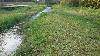 大和市泉の森 水源地 ふれあいの森 散策(7/9) パニック障害 認知行動療法 アタック