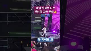 신성 - 못 먹어도 Go(고양힐링콘서트 : 신성의 신바람나는 무대)👍