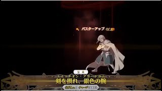 【FGO】ベディヴィエール 宝具5（OC5）宝具火力検証