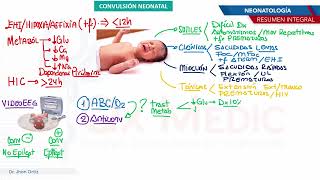 Neonatología - Convulsion neonatal