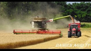 (FULL HD) Moisson / Lexion 770TT \u0026 MF 7620 avec transbordeur interbenne 25