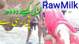 Mxtube.net :: Girl drink cow Mp4 3GP Video & Mp3 Download ...