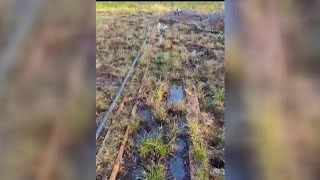 New oil leak discovered in Dayton, Texas