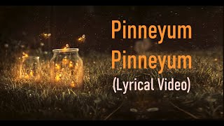 Pinneyum Pinneyum | Lyric Video | Krishnagudiyil Oru Pranayakalathu | K S Chithra