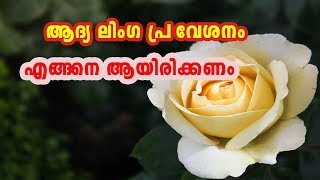 ആദ്യ ലിംഗ പ്രവേശനം എങ്ങനെആയിരിക്കണം HEALTHY TIPS