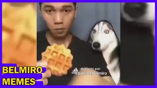 Belmiro Memes: Dublagens de animais engraçados - Episódio 367