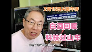 A股再现黑周四魔咒！DeepSeek过山车能追吗？AI咋应对