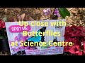 Science Centre | Butterfly Up close | Exhibition