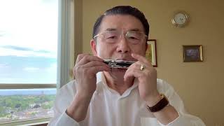 《凤阳花鼓》Tremolo Harmonica Solo 口琴独奏