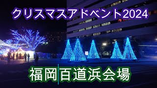 CHRISTMAS MARKET ICE WORLD IN 百道浜2024 　福岡マリゾン→天神　Fukuoka Marizon  　Momochihama→Tenjin