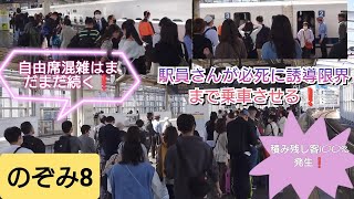 【2023年GW帰省ラッシュ・上りもまだ混雑が続く⚠】のぞみ８号事前に分散乗車を呼びかけたが常に自由席超満員のため岡山で全員乗車させれず積み残し客をだして後続の臨時のぞみに誘導して発車