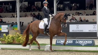 Quinn G. (Quaterhit x Fassbinder) for Denmark 🇩🇰 scores 94.8% and wins the 5yo final at WCYH