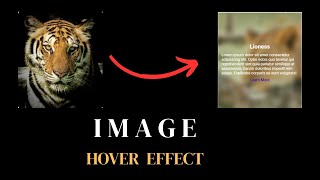 Add Text Overlays to Images on Hover with HTML & CSS