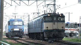 EF64 \u0026 EH200 出区＆入区　E257系 臨時特急「風林火山」号　信越本線を行くHDV 1246