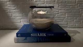 The Most Realistic Shark Hologram You Can Make at Home