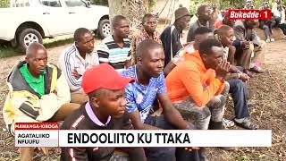 Agataliikonfuufu: Endooliito ku Ttaka Abasoba mu 800 basattira Omugagga abagobaganya